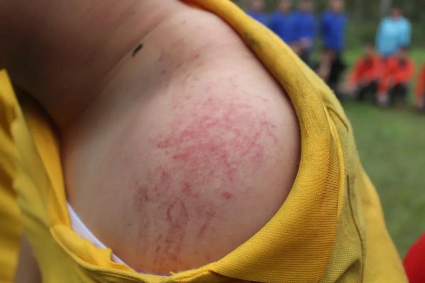 水思源——熔煉團隊、拓展未來！